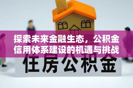 平武探索未来金融生态，公积金信用体系建设的机遇与挑战
