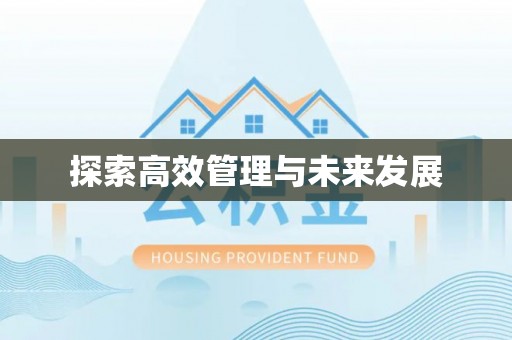 平武探索高效管理与未来发展