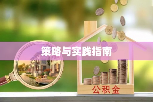 平武策略与实践指南