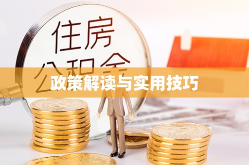 平武政策解读与实用技巧