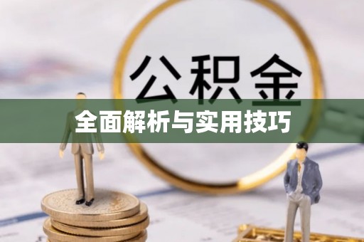平武全面解析与实用技巧