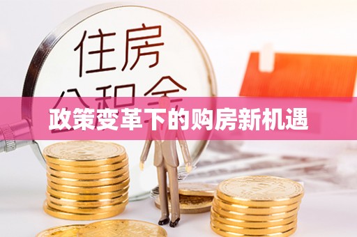 平武政策变革下的购房新机遇