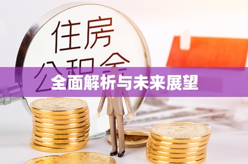 平武全面解析与未来展望