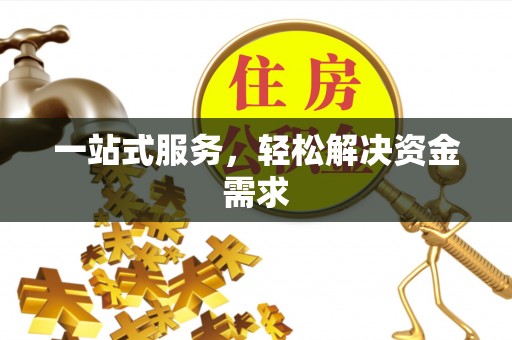 平武一站式服务，轻松解决资金需求